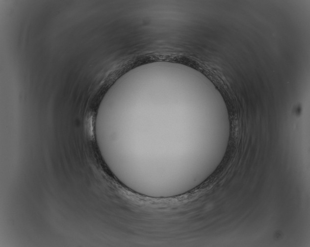 X0000091700042200708240944