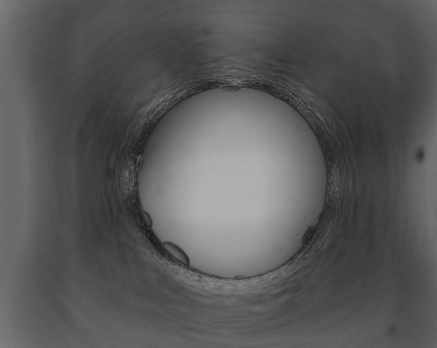 X0000091700043200708240944