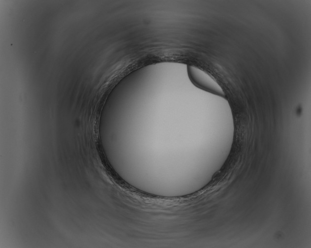 X0000091700044200708240944