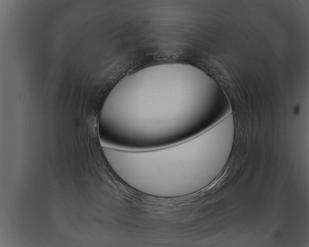 X0000091700045200708240944