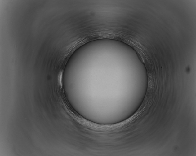 X0000091700047200708240944