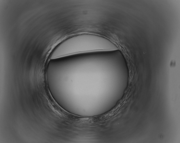 X0000091700050200708240943