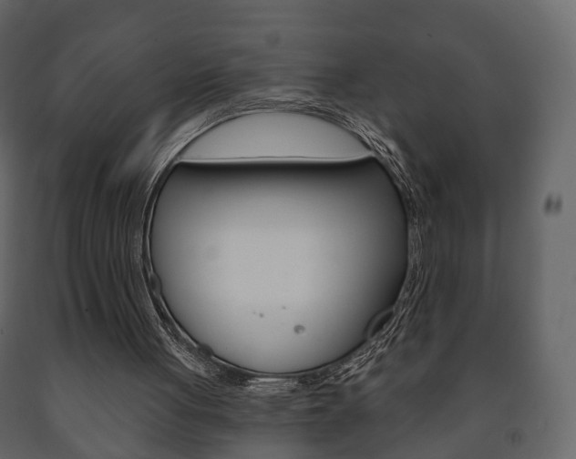 X0000091700051200708240943