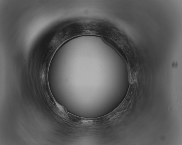 X0000091700052200708240943