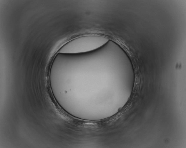 X0000091700053200708240943