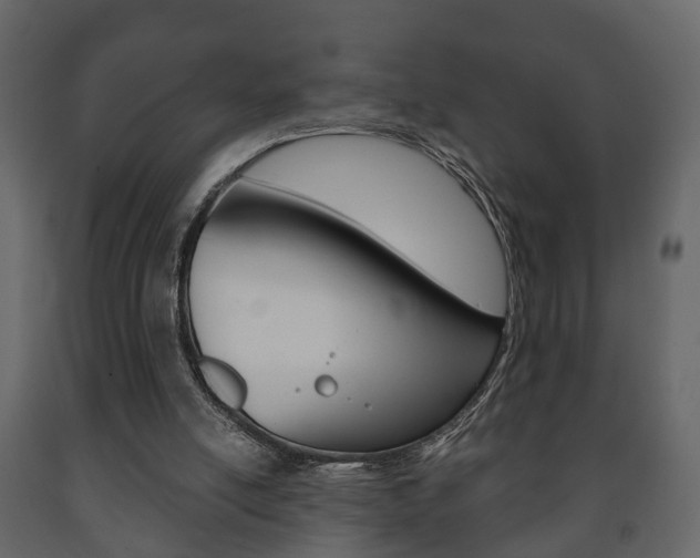 X0000091700054200708240943