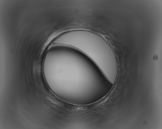 X0000091700056200708240943