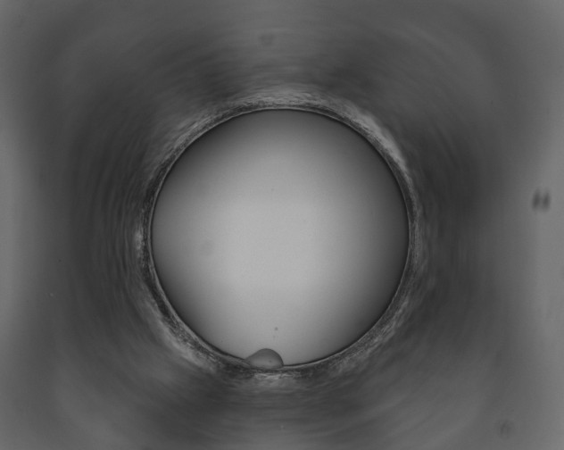 X0000091700057200708240943