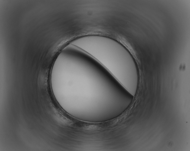 X0000091700058200708240943