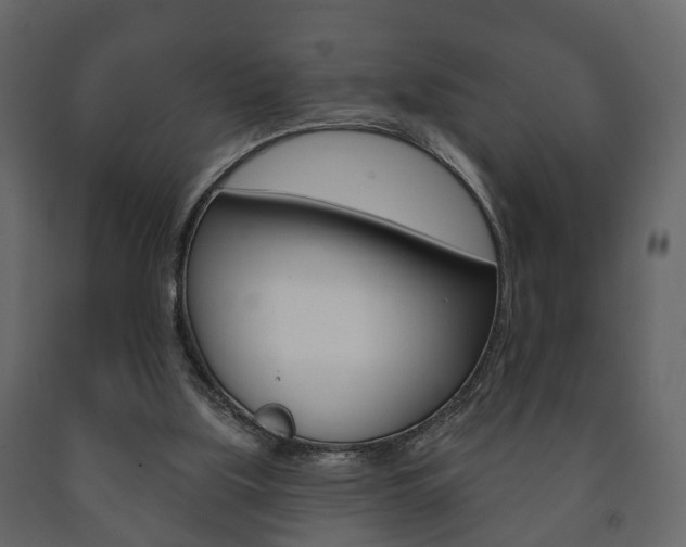 X0000091700059200708240943