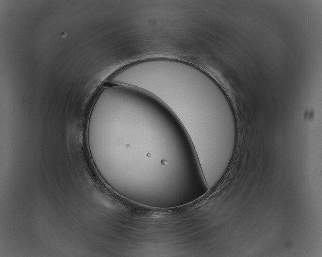 X0000091700060200708240943