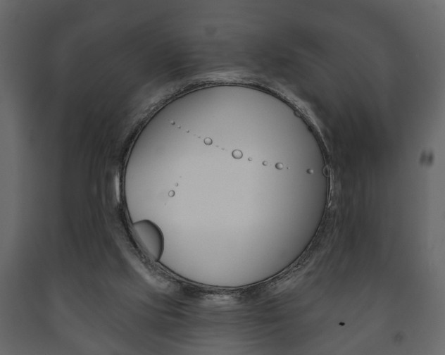 X0000091700061200708240943