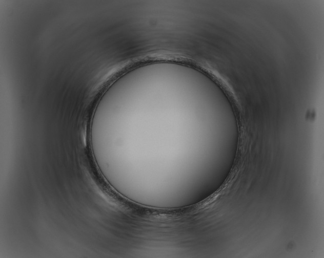 X0000091700062200708240943