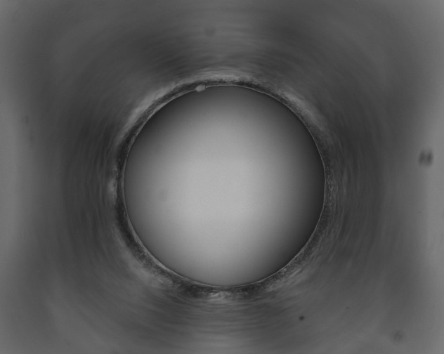 X0000091700064200708240943