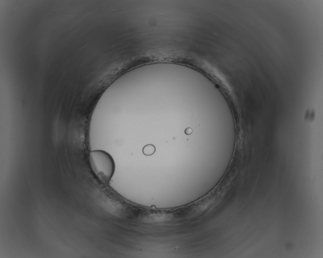 X0000091700065200708240943