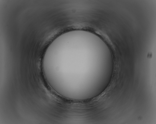 X0000091700066200708240944