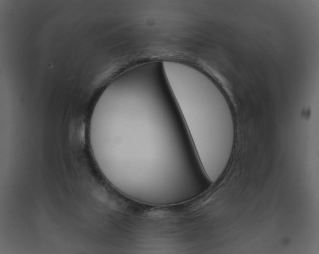 X0000091700067200708240944