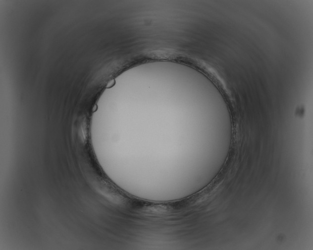 X0000091700069200708240944