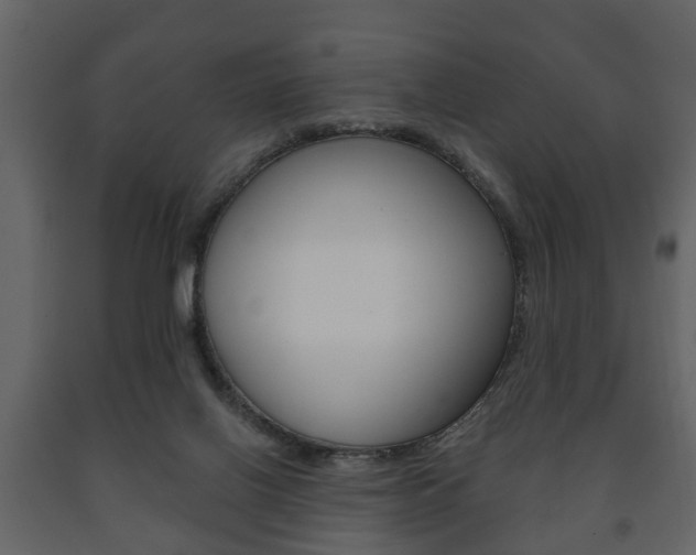 X0000091700070200708240944