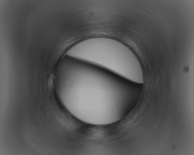 X0000091700071200708240944