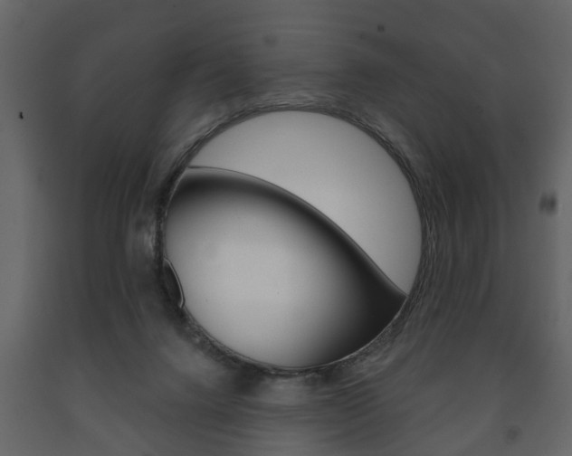 X0000091700072200708240944