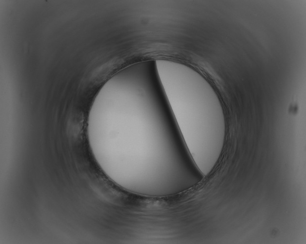 X0000091700073200708240944