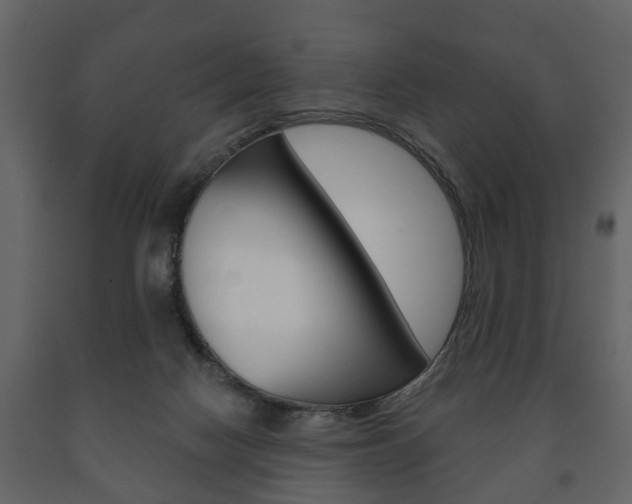 X0000091700074200708240944