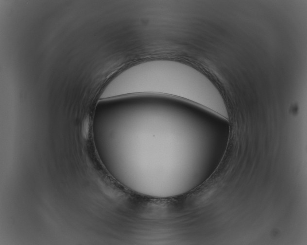 X0000091700076200708240944