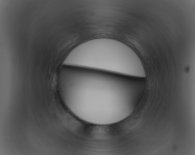 X0000091700077200708240944