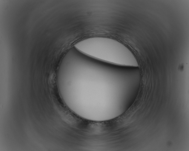 X0000091700079200708240944