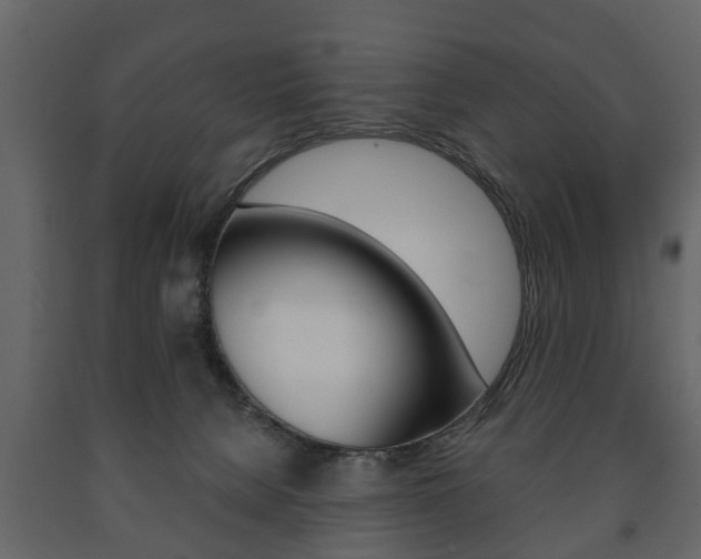 X0000091700080200708240944