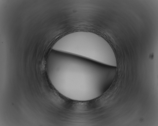 X0000091700081200708240944