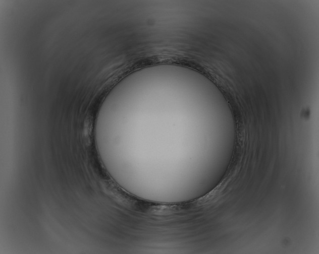 X0000091700082200708240944