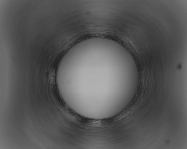X0000091700083200708240944