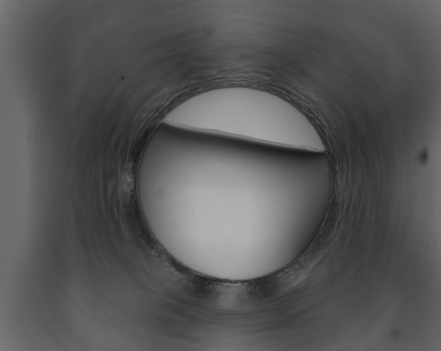 X0000091700085200708240944