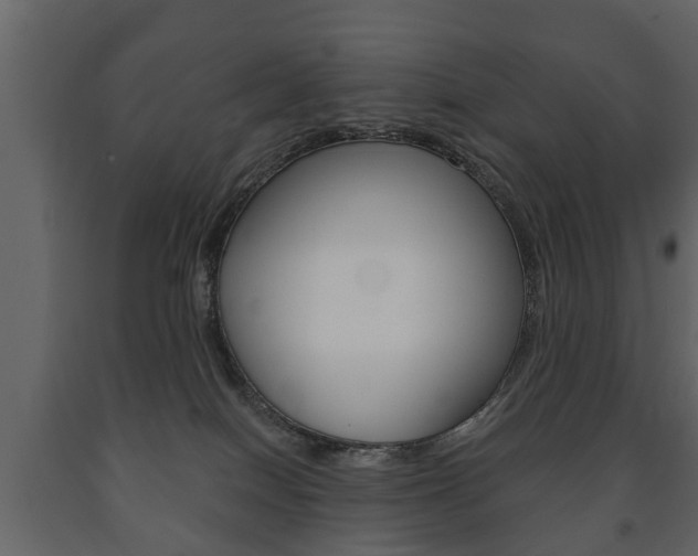 X0000091700086200708240944