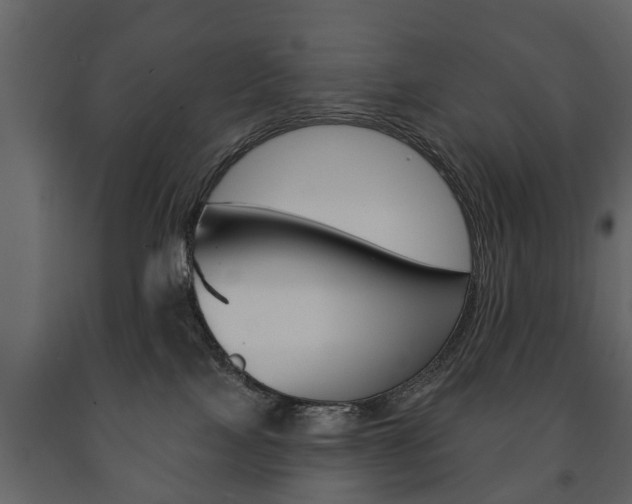 X0000091700089200708240944