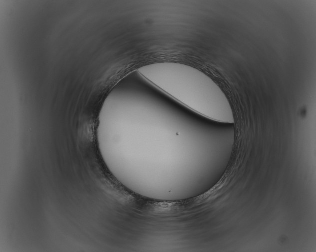 X0000091700090200708240944