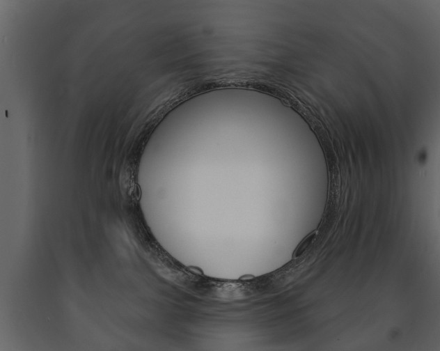 X0000091700091200708240944