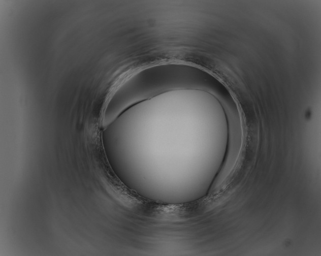 X0000091700092200708240944