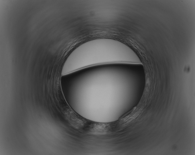 X0000091700096200708240944