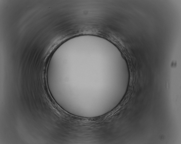 X0000091700098200708240943