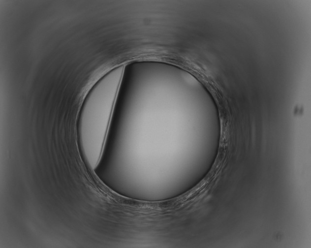 X0000091700099200708240943