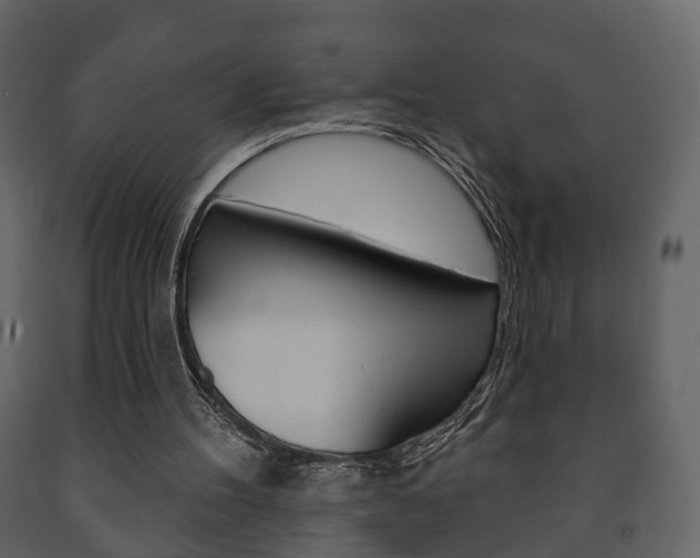 X0000091700100200708240943