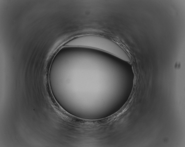 X0000091700101200708240943