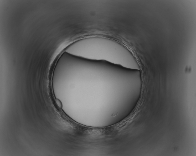 X0000091700102200708240943