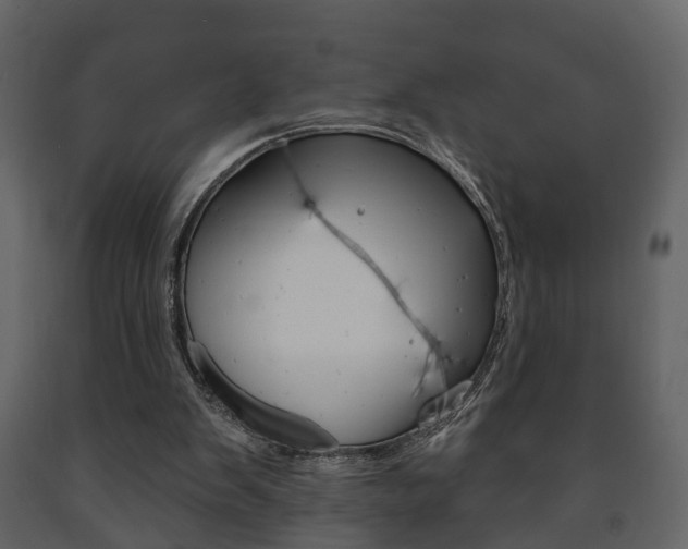 X0000091700103200708240943