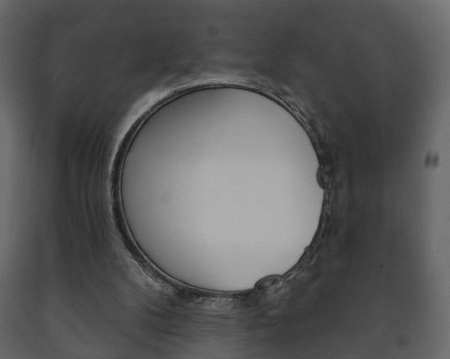 X0000091700104200708240943