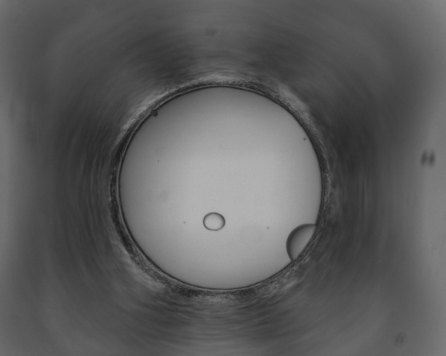 X0000091700106200708240943