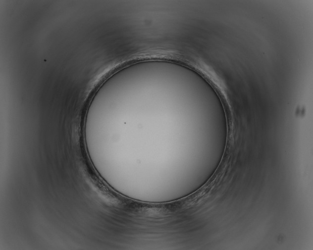 X0000091700107200708240943
